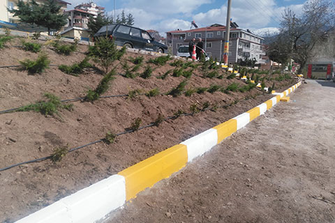 Tavas daha yeşil olacak
