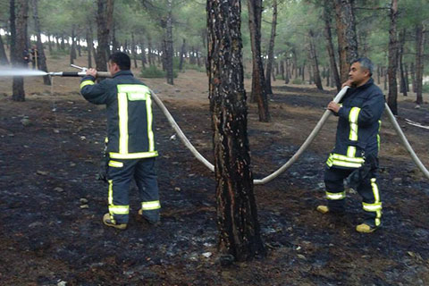 Tavas’ta orman yangını ucuz atlatıldı