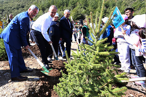 Büyükşehir Belediyesi’nden ağaçlandırma seferberliği