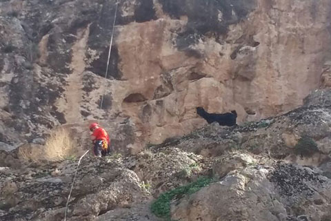 İtfaiye ve AKUT’tan keçi kurtarma operasyonu