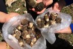 Bahar havası piknik alanlarını doldurdu