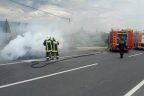 Sarayköy’de otomobil alevlere teslim oldu