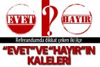 Denizli’de “Evet” ve “Hayır”ın en yüksek olduğu ilçeler