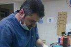 Köpeklerin saldırısına uğrayan hamile kedi ile 3 yavrusu kurtarıldı