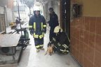İtfaiye’den köpek kurtarma operasyonu