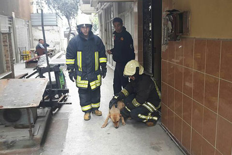 İtfaiye’den köpek kurtarma operasyonu