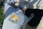 Sarayköy’de larva mücadelesi