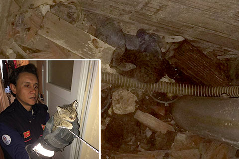 İtfaiye’den kedi kurtarma operasyonu