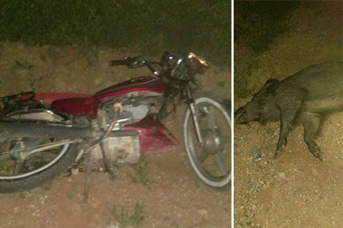 Çal’da 17 yaşındaki genç motosiklet ile domuza çarptı, ağır yaralandı