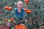 Ev hanımıydı, ailesinin geçimini sağlamak için seracı oldu