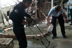 Sel yatağına yakın yerlerde yılanlar çoğaldı