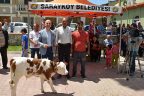 Sarayköy’ün en güzelleri seçildi