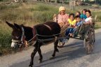 Karakaçan sayısı azaldı, kalanlar da çocukların eğlencesi oldu