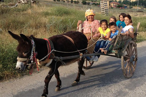 Karakaçan sayısı azaldı, kalanlar da çocukların eğlencesi oldu