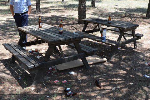 Bozkurt Belediye Başkanı, piknik alanını kirletenlere isyan etti