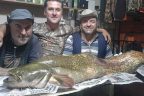 Balık sezonu açıldı, ilk oltasına 30 kiloluk balık takıldı