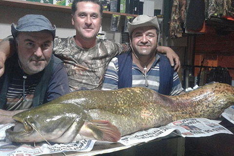 Balık sezonu açıldı, ilk oltasına 30 kiloluk balık takıldı