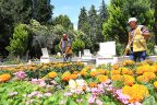 Mezarlıklar bayrama hazır