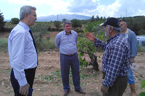 Dolunun vurduğu Çal’da hasar tespit çalışması başlatıldı