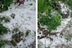 Çameli’de 15 dakika süren dolu ekili alanlara zarar verdi