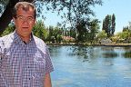 Turna ve sazan ırkı tehdit altında