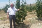 Haziran ayındaki dolu yağışları 57 bin 97 dekarlık tarım arazisini vurdu
