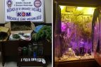 Üniversite öğrencilerine esrar satan tekstil mühendisi yakalandı
