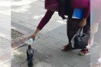 Sıcaktan bunalan kargaya duş aldırdı