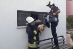 Köpeğin yardımına itfaiye koştu
