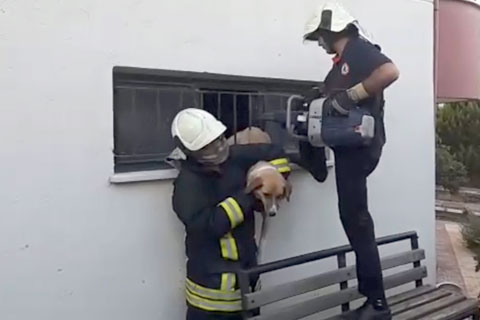 Köpeğin yardımına itfaiye koştu