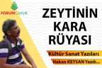 ZEYTİNİN KARA RÜYASI