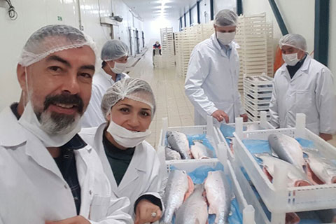 Özpekler Alabalık, Rusya’dan 500 ton balık siparişi aldı