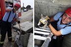 Yolda yürüyen bir kişi kedi sesi duydu, o kulak kediyi kurtardı