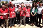 Kasapoğlu: İncirlik eşkıya yuvası