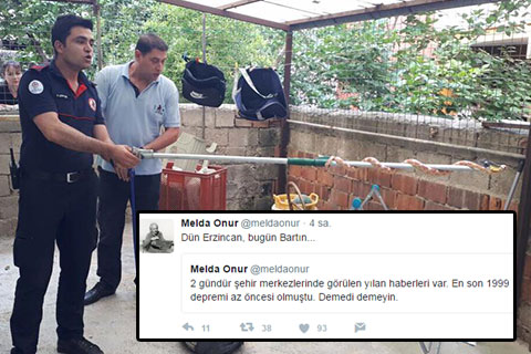 Yılanlar ortaya çıktı, ardından deprem geldi. Herkes bu soruyu soruyor: Yılanlar depremin işaretçisi miydi?