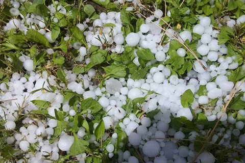Dolu yağışı Çal’da etkili oldu
