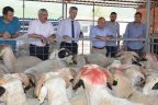 Tavas’ta koç dağıtım töreni