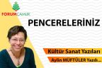 PENCERELERİNİZ