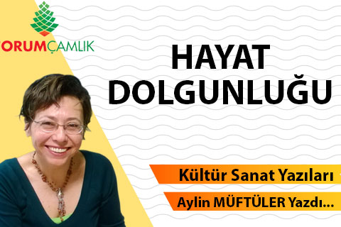 HAYAT DOLGUNLUĞU