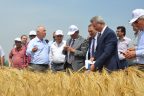 Kumkısık’ta ‘yeni arpalar’ tanıtıldı