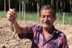 Tarlada yakaladığı yılanı sevip bıraktı
