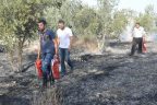 Fabrika işçileri söndürme tüpleriyle orman yangınına müdahale etti