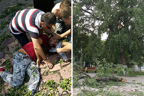 Tatil için Ukrayna’ya giden Denizlili gencin üzerine ağaç düştü