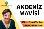 AKDENİZ MAVİSİ