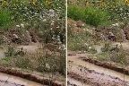 Denizlihaber okuru, Baklan Ovası’nda boşa akan suyun görüntülerini çekti