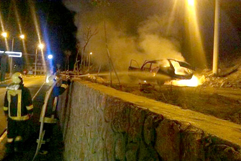 Park halindeyken alevlere teslim oldu