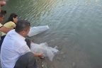 Çameli Kolak Gölü’ne 10 bin balık bırakıldı, başkanı koruma telaşı sardı