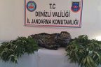 Jandarma’dan Beyağaç’ta uyuşturucu operasyonu