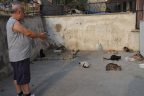 Emekli şoför Ali Pelek, hayatını kedilere adadı