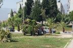 Mahkeme kararını beklemediler, ağaçları sökmeye başladılar